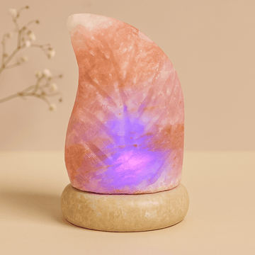 Himalayan Salt Lamp Leaf Multicolour USB Powered