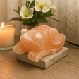 Himalayan Salt Lamp USB Multicolor Toad - SHAMTAM.COM