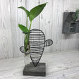 Hydroponic Pot Home Decor - Cactus & Lab - SHAMTAM.COM