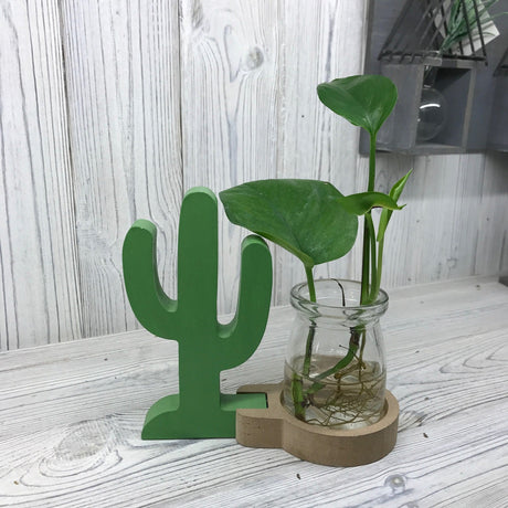 Hydroponic Pot Home Decor - Cactus - SHAMTAM.COM