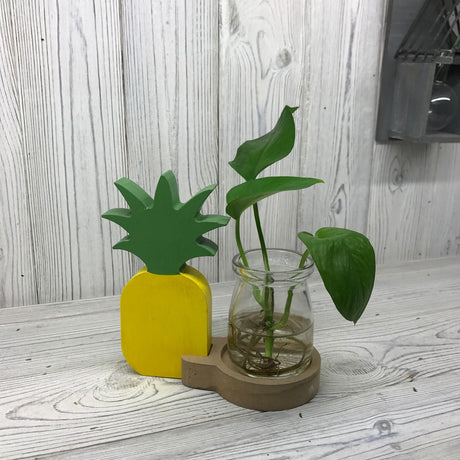 Hydroponic Pot Home Decor - Pineapple - SHAMTAM.COM