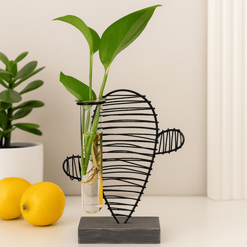 Hydroponisk Plante Reagensglas Bordvase