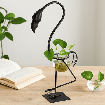 Hydroponisk Reagensglas Plante Høj Flamingo
