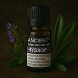 Hyssop Essential Oil 10 ml - SHAMTAM.COM
