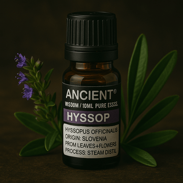 Эфирное масло иссопа паровой дистилляции 10 ml