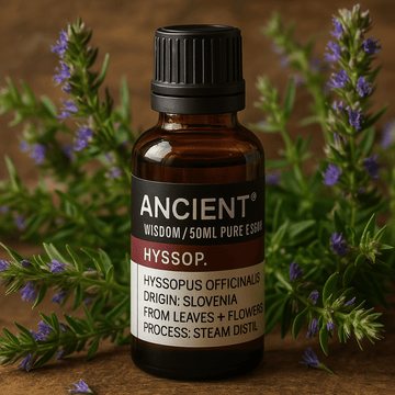 Hyssop Essential Oil Steam Distilled 50ml