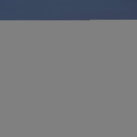 Silicone Ice Face Roller - roller - blue - SHAMTAM.COM