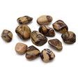 Jasper Nguni Tumbled Stones African Gemstones - SHAMTAM.COM