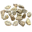 Dalmation Tumbled Stones - Crystals Gemstones - SHAMTAM.COM