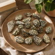 L Tumble Stones - Dalmation Stone — styled in a warm, naturally lit interior