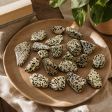 L Tumble Stones - Dalmation Stone — styled in a warm, naturally lit interior