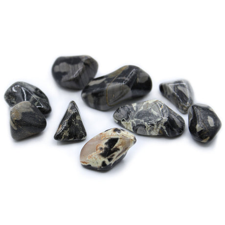 Silverleaf Jasper Tumbled Stones - Crystals Gemstones - SHAMTAM.COM