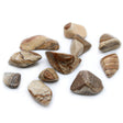 Kalahari Desert Tumbled Stones - Crystals Gemstones - SHAMTAM.COM