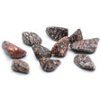 Leopard Skin Tumbled Stones - Crystals Gemstones - SHAMTAM.COM