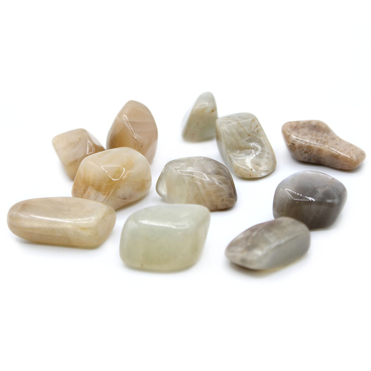 Moonstone Tumbled Stones - Crystals Gemstones - SHAMTAM.COM