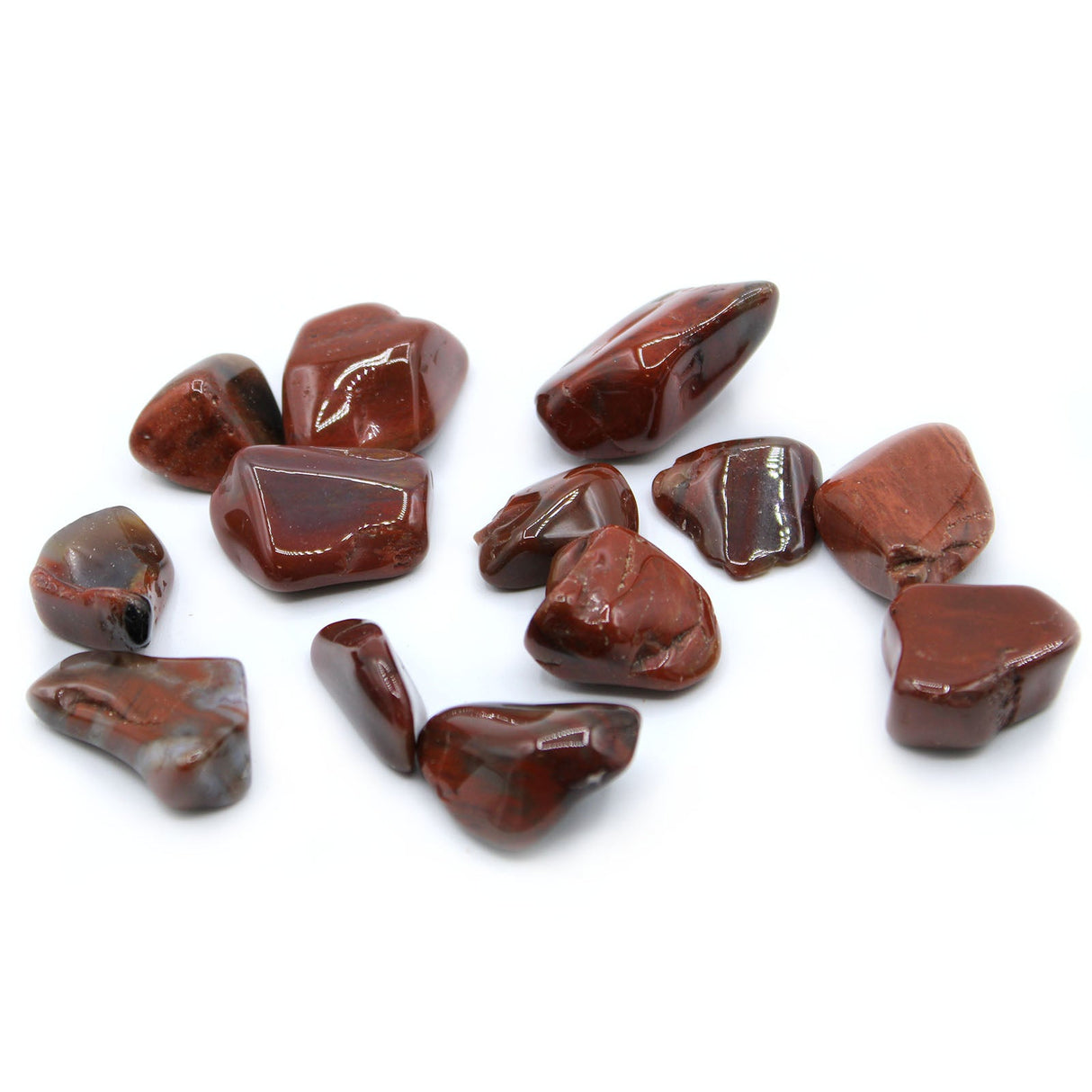 Petrified Wood Tumbled Stones - Crystals Gemstones - SHAMTAM.COM