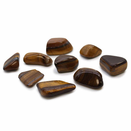 Gold Tigers Eye Tumbled Stones - Crystals Gemstones - SHAMTAM.COM