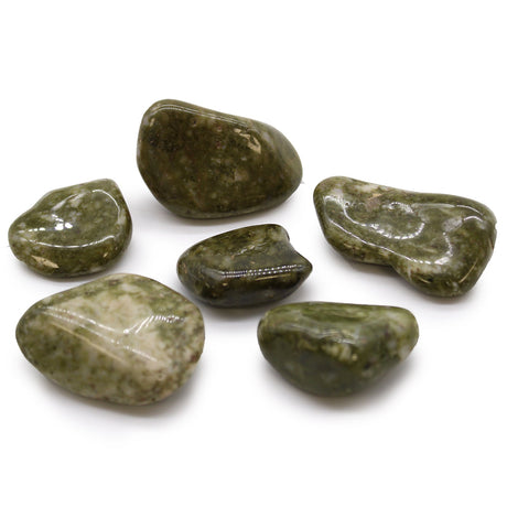 Epidote Snowflake Tumble Stones - African Crystals Gemstones - SHAMTAM.COM