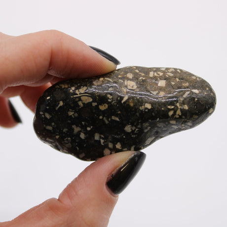 Guinea Fowl Tumble Stones - African Crystals Gemstones - SHAMTAM.COM