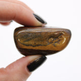 Tigers Eye Tumble Stones - African Crystals Gemstones Varigated - SHAMTAM.COM