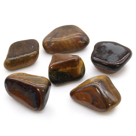 Tigers Eye Tumble Stones - African Crystals Gemstones Varigated - SHAMTAM.COM