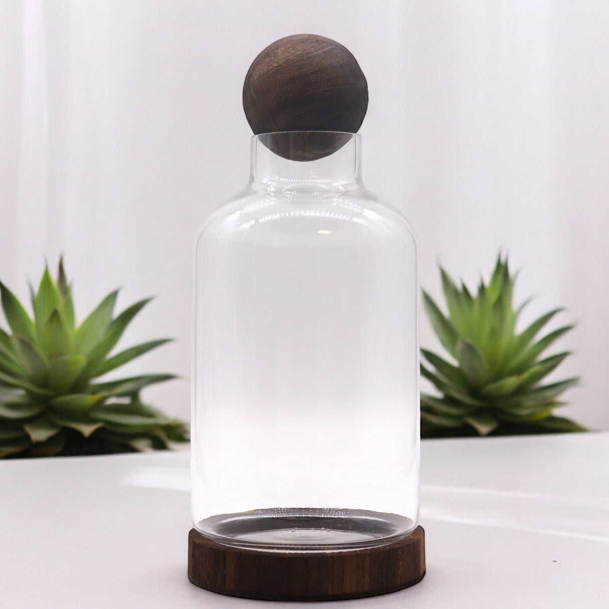 Large Ball Top Terarium on Dark Tung Wood - SHAMTAM.COM