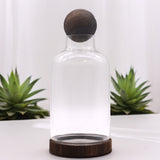 Large Ball Top Terarium on Dark Tung Wood - SHAMTAM.COM