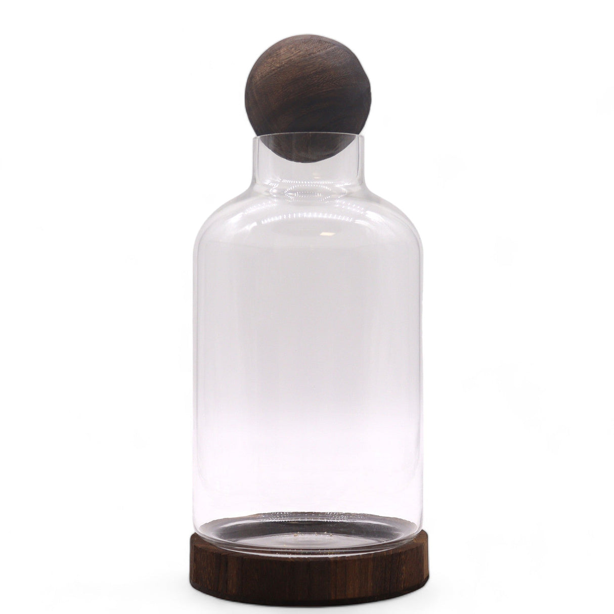 Large Ball Top Terarium on Dark Tung Wood - SHAMTAM.COM