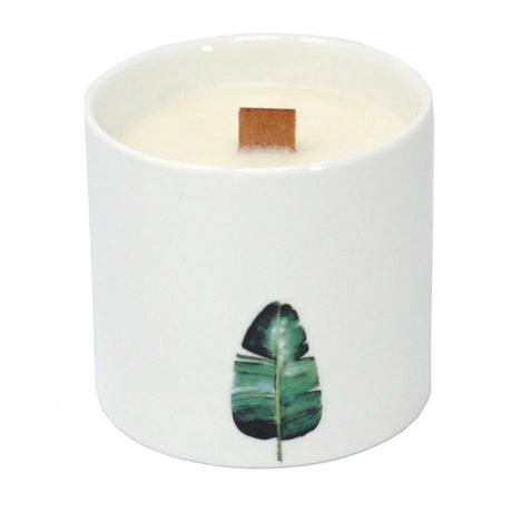 Marsh Viola Candles Botanical - SHAMTAM.COM