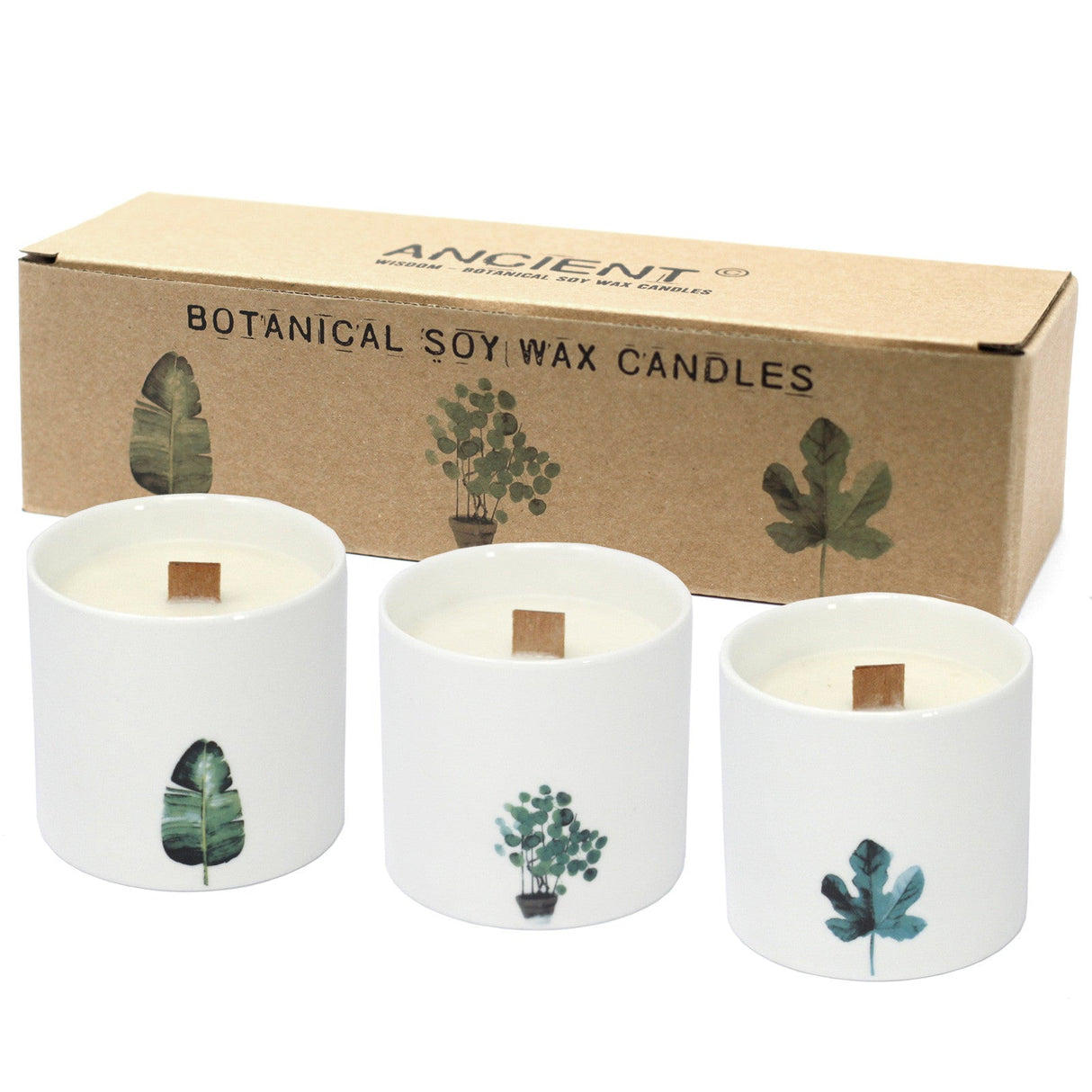 Marsh Viola Candles Botanical - SHAMTAM.COM