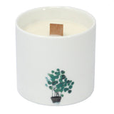 Marsh Viola Candles Botanical - SHAMTAM.COM