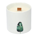 Wild Jasmine Scented Candles - SHAMTAM.COM