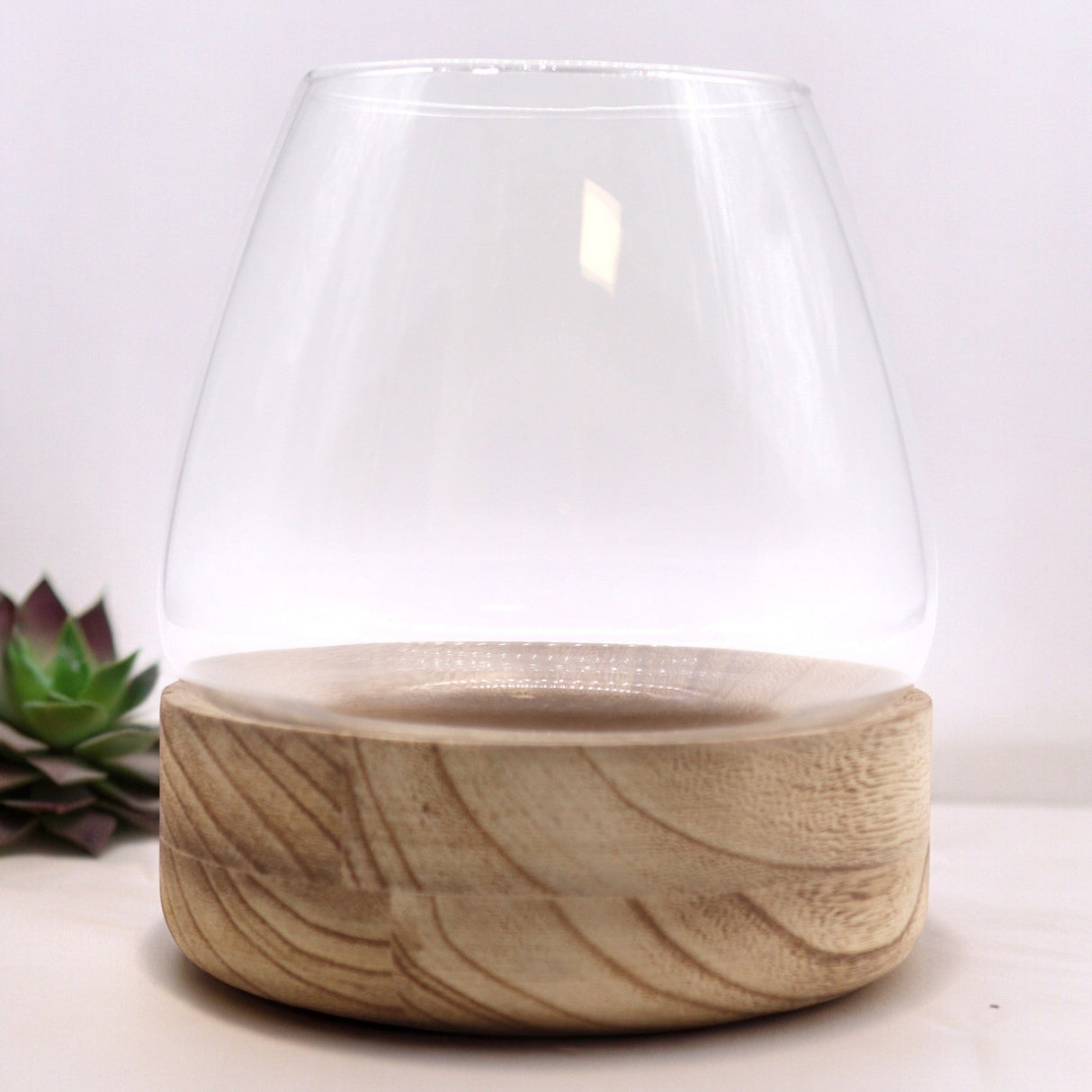 Large Terarium on Natural Tung Wood - SHAMTAM.COM
