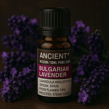 Lavender Essential Oil Bulgarian Steam Distilled 10ml