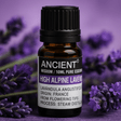 High Alpine Lavender Essential Oil 10ml - SHAMTAM.COM