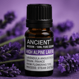 High Alpine Lavender Essential Oil 10ml - SHAMTAM.COM