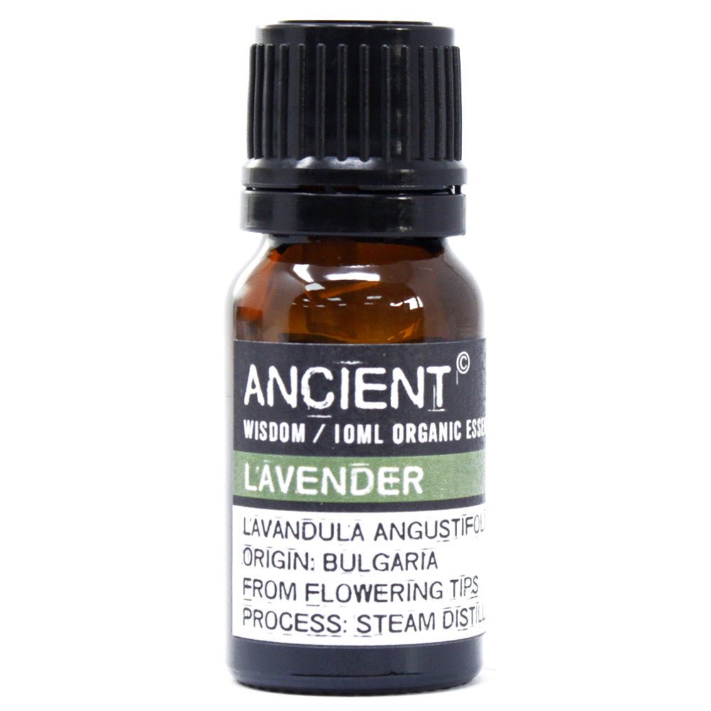 Lavender Essential Oil Organic 10ml - SHAMTAM.COM