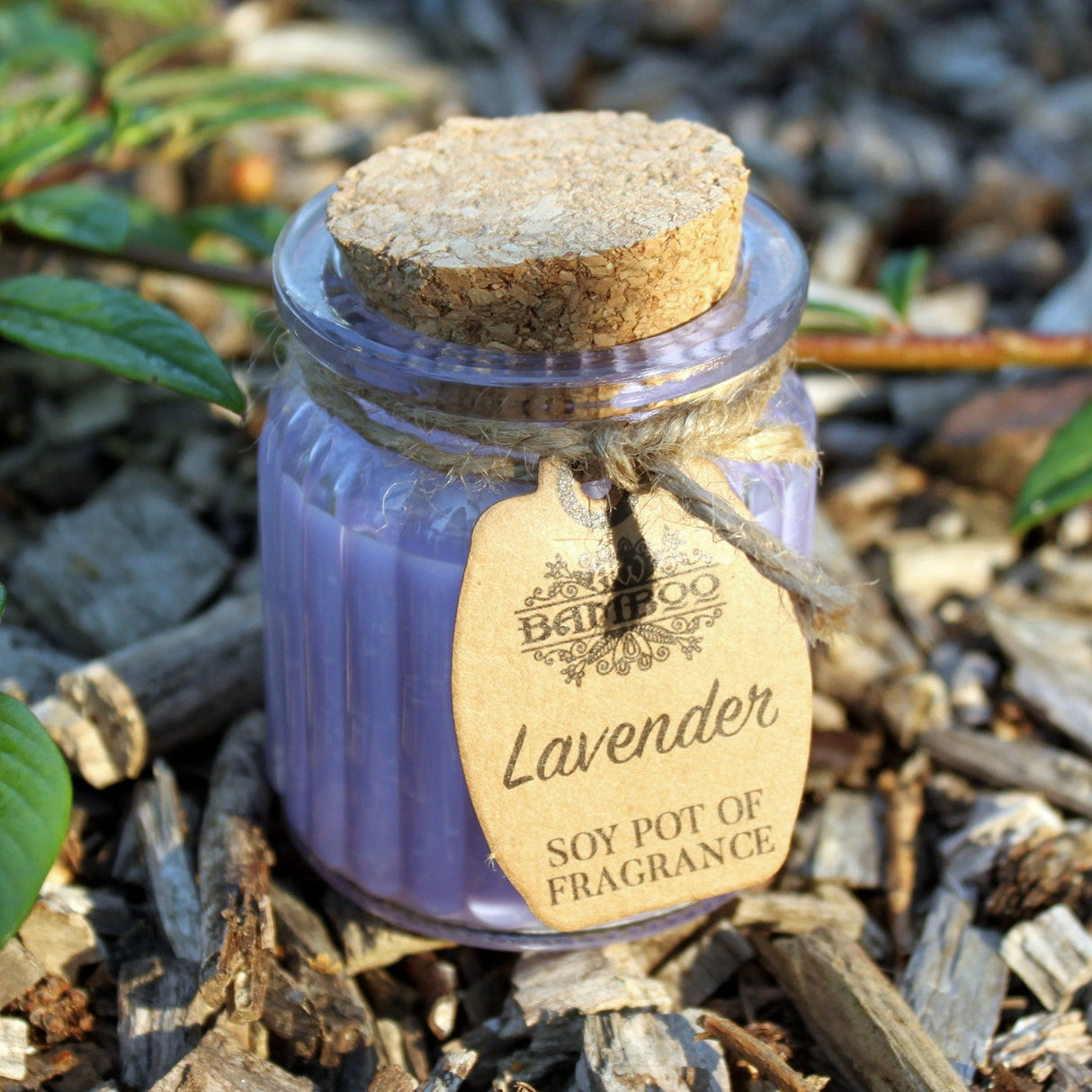 Lavender Scented Candle Soy Pot - SHAMTAM.COM