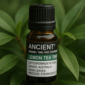 Lemon Tea Tree Essential Oil 10 ml - SHAMTAM.COM