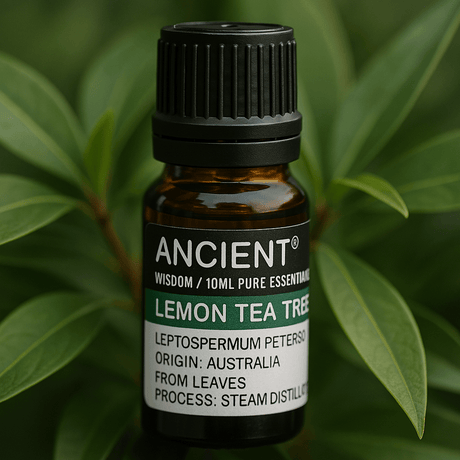 Lemon Tea Tree Essential Oil 10 ml - SHAMTAM.COM