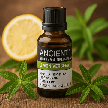 Lemon Verbena Essential Oil, Steam Distilled 50ml