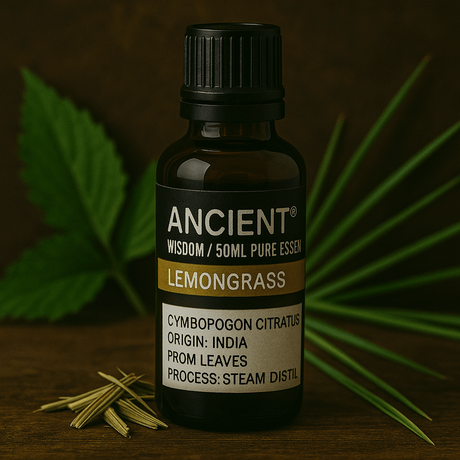 Lemongrass Essential Oil Steam Distilled 50ml - SHAMTAM.COM