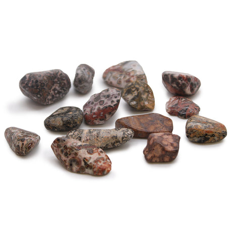 Leopard Skin Tumbled Stone Crystals Gemstones - SHAMTAM.COM