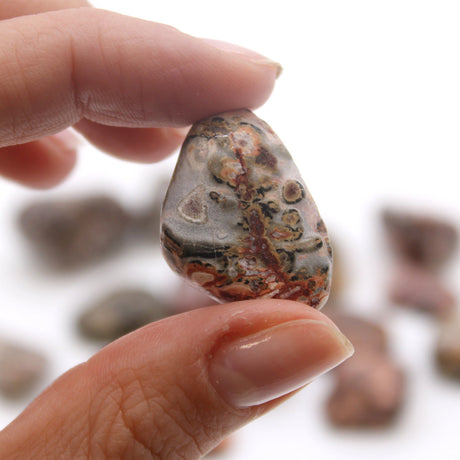 Leopard Skin Tumbled Stone Crystals Gemstones - SHAMTAM.COM