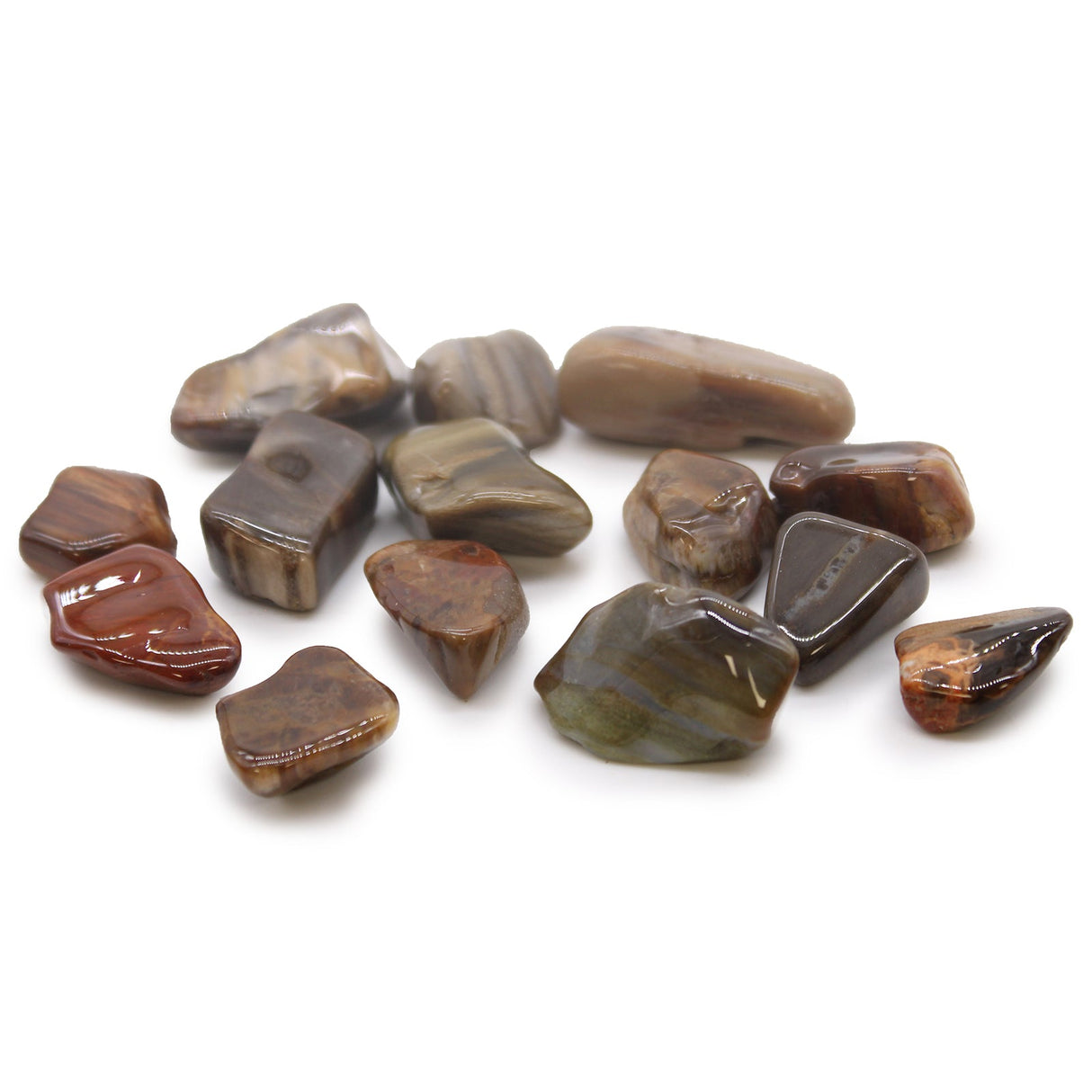 Petrified Wood Tumbled Stone Crystals Gemstones - SHAMTAM.COM