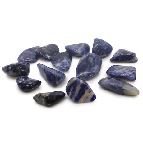 Sodalite Tumbled Stone Crystals Gemstones - SHAMTAM.COM