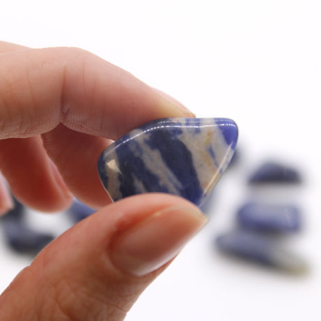 Sodalite Tumbled Stone Crystals Gemstones - SHAMTAM.COM