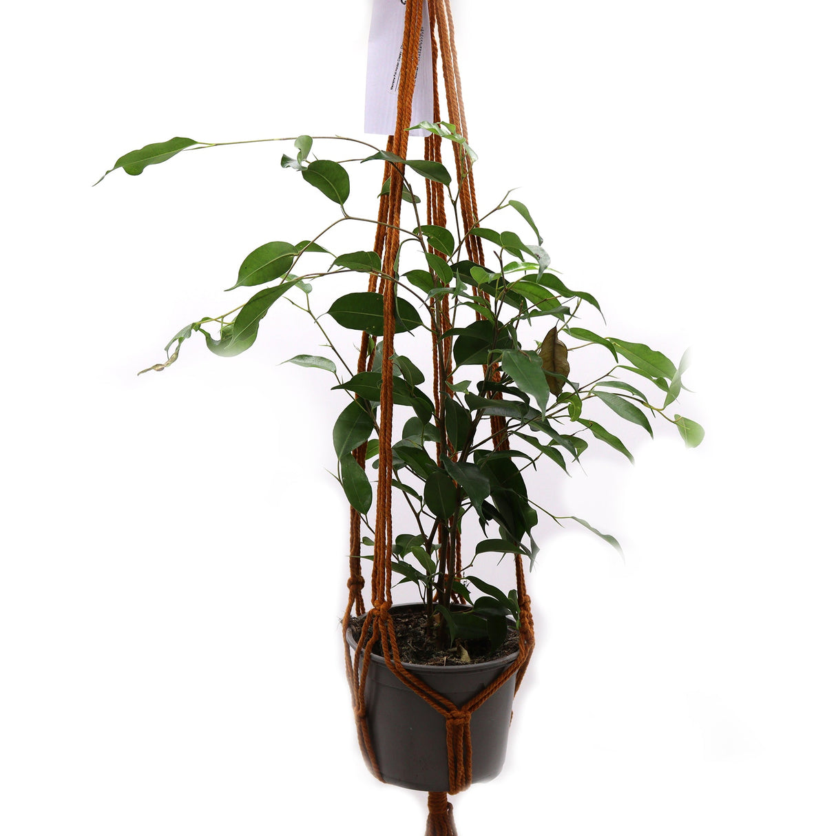 Macrame Pot Holder Classic - Chocolate Med Pot - SHAMTAM.COM