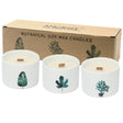 Japanese Garden Scented Candles - SHAMTAM.COM