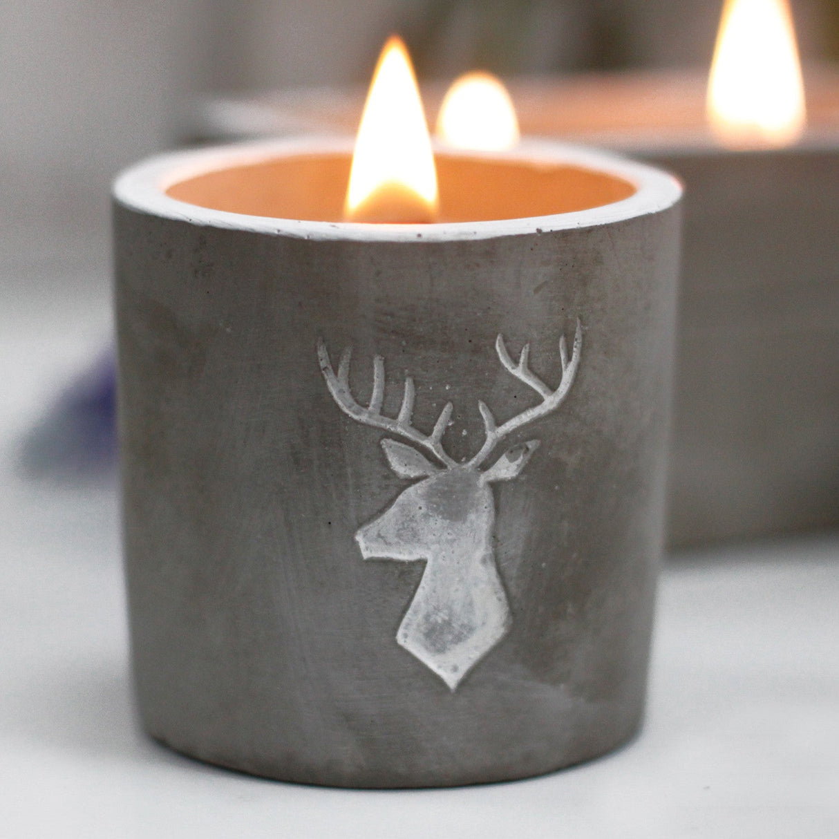 Whiskey & Woodsmoke Scented Candle - SHAMTAM.COM